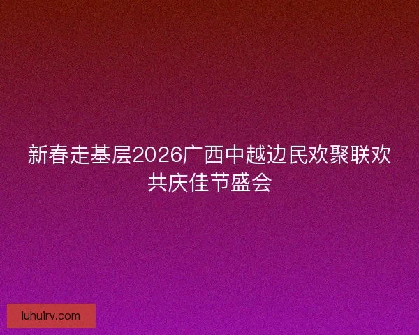 新春走基层2026广西中越边民欢聚联欢共庆佳节盛会